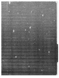 Joe Winter: contemporary sculpture and installation