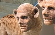 Weird, wonderful, strange and startling art: science meets fantasy in the Wunderkammer, or cabinet of curiosities