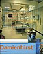 Damien Hirst, limited editions etc